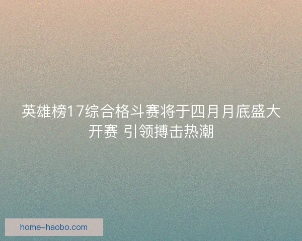 英雄榜17综合格斗赛将于四月月底盛大开赛 引领搏击热潮