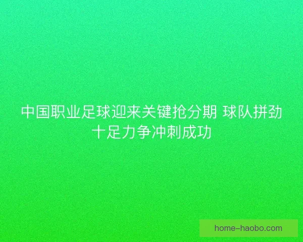 中国职业足球迎来关键抢分期 球队拼劲十足力争冲刺成功